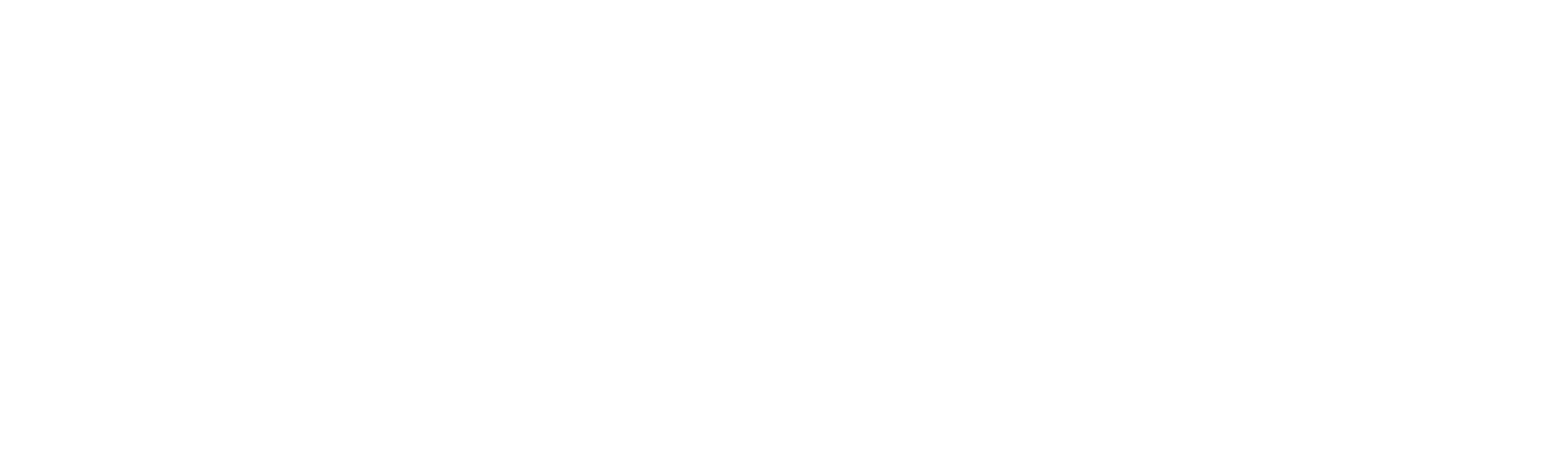 DCE Logo Whiteout New Lockup