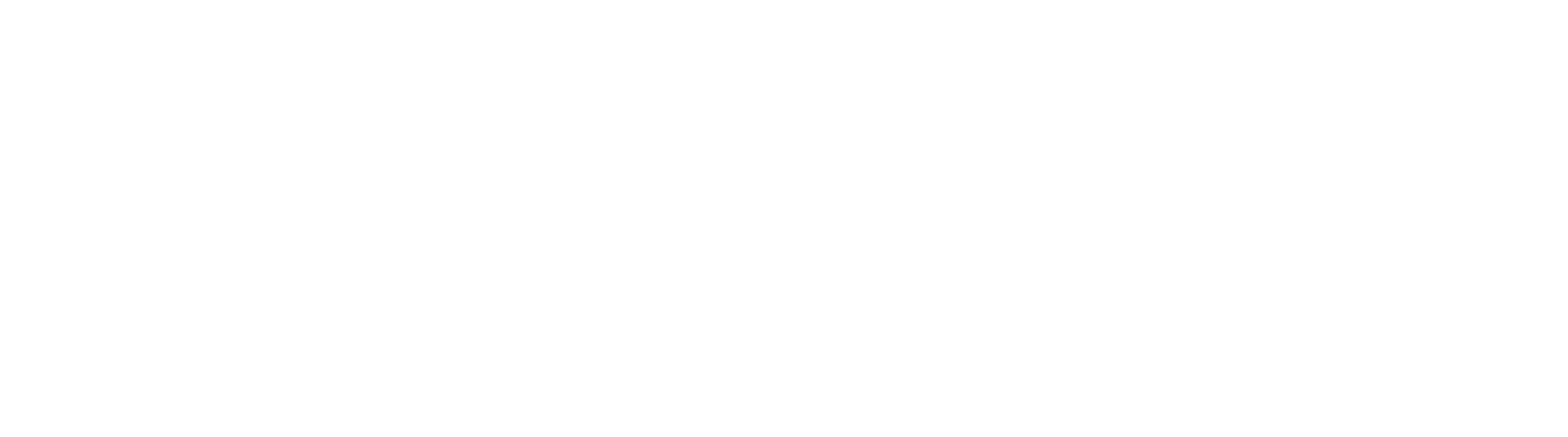 NA-White-Logo-H (1)