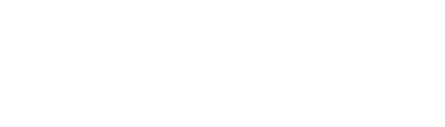 levira_logo_white